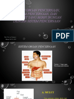 PPT-Sistem Organ Pencernaan, Enzim Pencernaan, Dan Penyakit