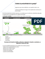 El BIOFILM afecta la productividad de tu granja.doc