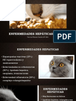 Enfermedades Hepáticas Felinas Actualizado 2019 PDF