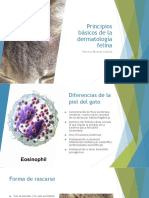 Principios Básicos de La Dermatología Felina ACTUALIZADO 2020 PDF