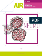 Manual de Neumología y Cirugía Torácica PDF