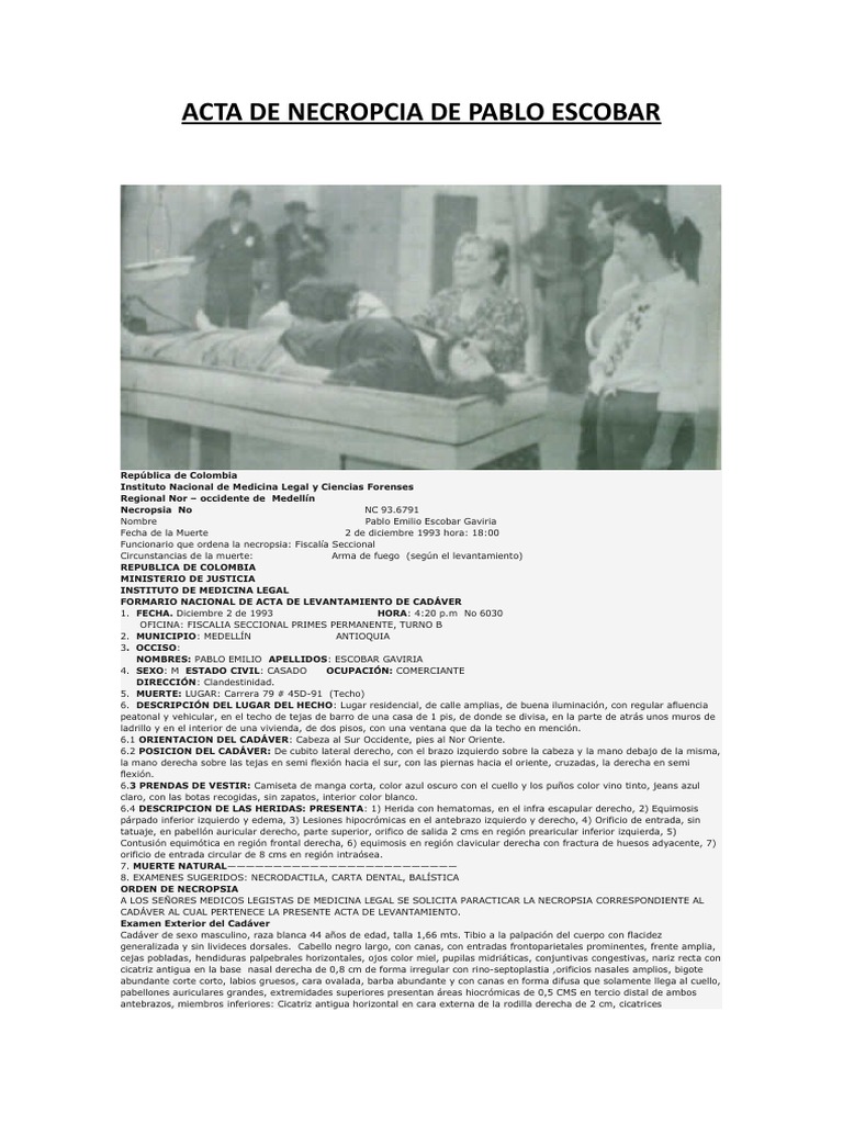 Juan Pablo Escobar – Historias de Paz, Embajador de Paz de la Organización  Mundial por La Paz, image size:768x1024