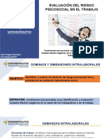 Evaluacion Del Riesgo Psicosocial en El Trabajo PDF