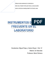 Actividad de SC Naturales, Miguel Rojas 1 y Valeria Reyes 1 A PDF
