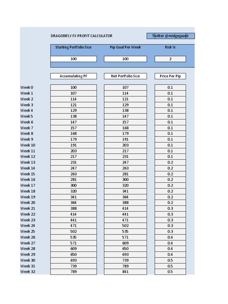 Dragonfly FX Profit Calculator | PDF | Financial Economics | Investing