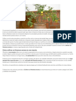 Cultivar un limonero enano - ecologiaverde.com.pdf