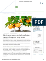 Cítricos Enanos - Árboles Cítricos para Interiores PDF
