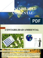 CCA. Tema 6. Contabilidad Ambiental