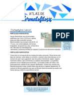 ATLAS DE DERMATOFITOS .pdf