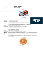 Bio Prelim Summary PDF