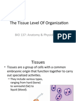 CHAPTER 4 Tortora Tissues