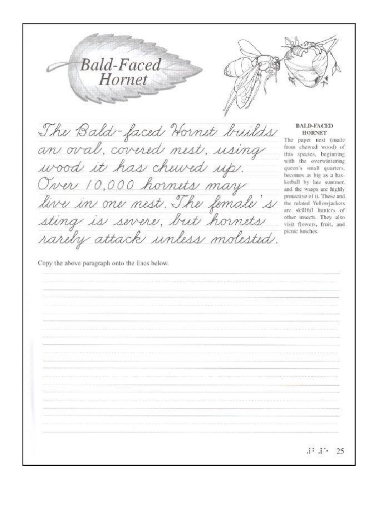 Handwriting Worksheets Grade 5 PDF