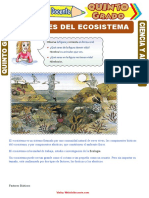 Factores-del-Ecosistema-para-Quinto-Grado-de-Primaria.doc