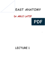 Breast Anatomy and Risk Factor Lec 2