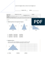 Lección Perímetros Triángulos