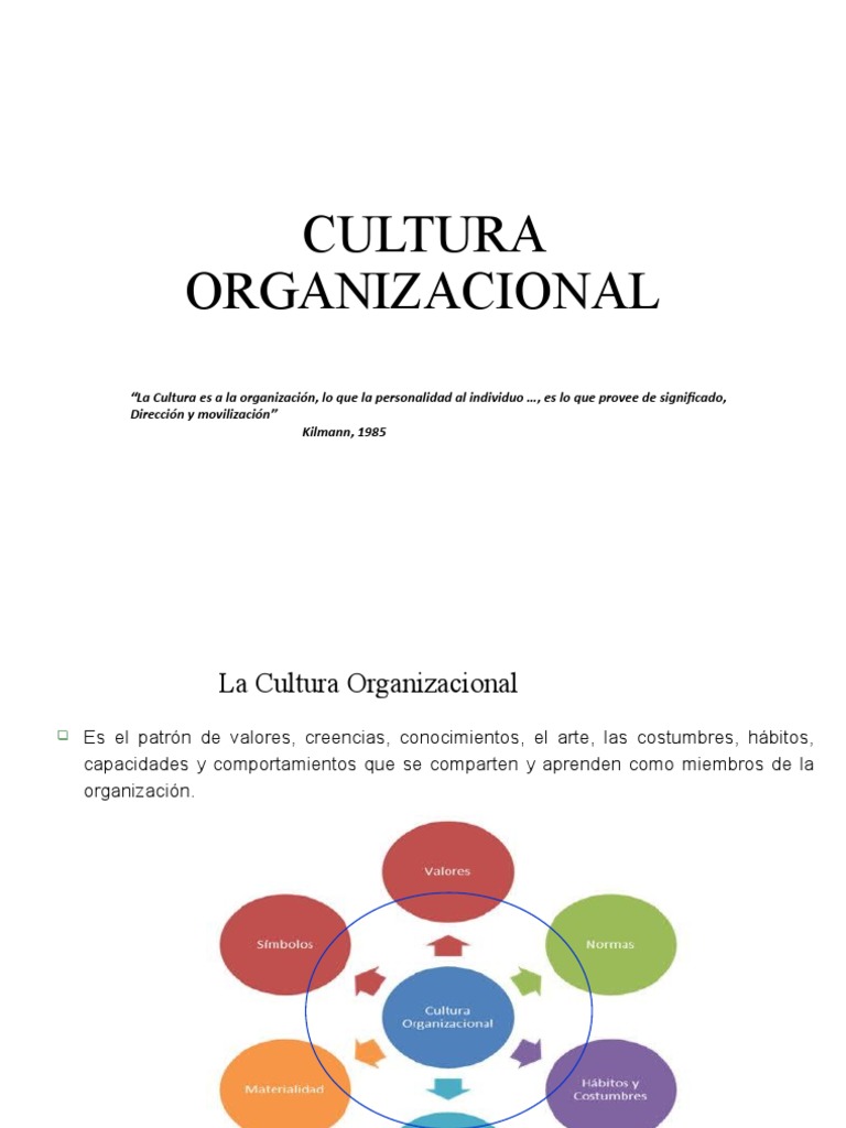 Cambio y Desarrollo de la Cultura Organizacional | PDF | Cultura ...