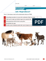 Why Do Animals Reproduce?: Consolidation Worksheet