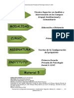 Teorias de la configuracion del psiquismo Material 5.pdf