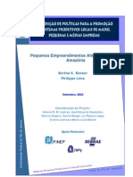 Pequenos empreendimentos alternativos na Amazônia