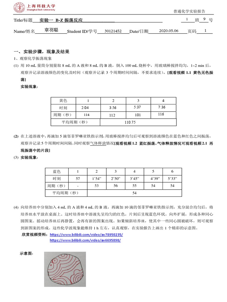 Lab1 Report | PDF