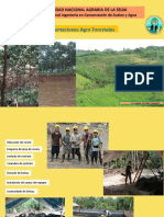 Plantaciones Forestales (Act. 2020) B
