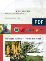 5.9 Prosopis Juliflora:: A Menace or A Resource Experience From India