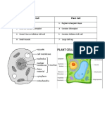 Plant and Animal Cell Comparison