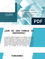 Familia de Patente