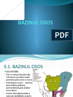 2.bazinul Obstetrical