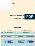 Inf Chlamydia