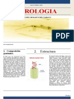 Editorial periodistica.docx