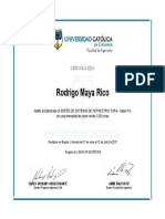 RODRIGO MAYA.pdf