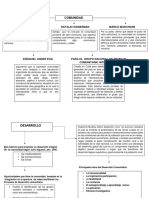 Mapa Conceptual Comunnidad y Desarrollo