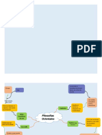 Mapa de Cajas Filosofias Orientales