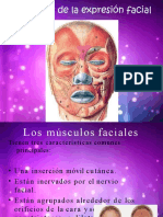 Musculos Expresion Facial