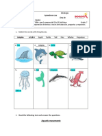 Match The Words With The Pictures. Dolphin Jellyfish Squid Turtle Tail Fins Whales Porpoises