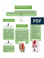 N°1 - Organizador Gráfico PDF