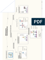 mapa de aplicaciones inmunohistoquimicas