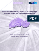 Activacion Neurogénesis Del Hipocampo