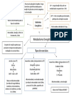 MAPA MENTAL Metabolismo Energético Nos Grupos de Exercícios