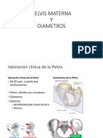 pelvimetria MATERNA (1).pdf