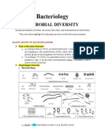 Bacteriology: Microbial Diversity