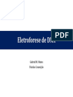 Aula-Eletroforese-de-DNA.pdf