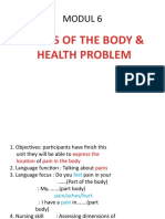 Parts of The Body & Health Problem: Modul 6