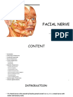 Facial Nerve: BY Alvi Fatima Mds 1 Year Dept of Prevantive and Pediatric Dentistry