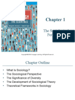 Ch1 - The Sociological Perspective