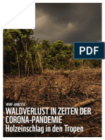 WWF Analyse Waldverlust in Zeiten Der Corona Pandemie