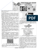 2º Semestre Reino Protista