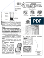 3° Semestre - Hematologia