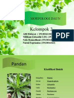 Morfologi & Klasifikasi